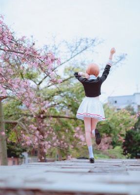 国家队免费观看全集完整版第一季_BD韩语免费观看超清